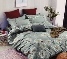 Постільна білизна Pretty 200x220 код 121(ж)