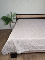 Покривало велюрове 160x210 Світло-сіре (9286)