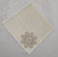 Салфетка велюровая Acme с кружевом 35*45 Daisy Krem