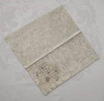 Салфетка велюровая Acme с кружевом 35*35 Kyrien Cappicino